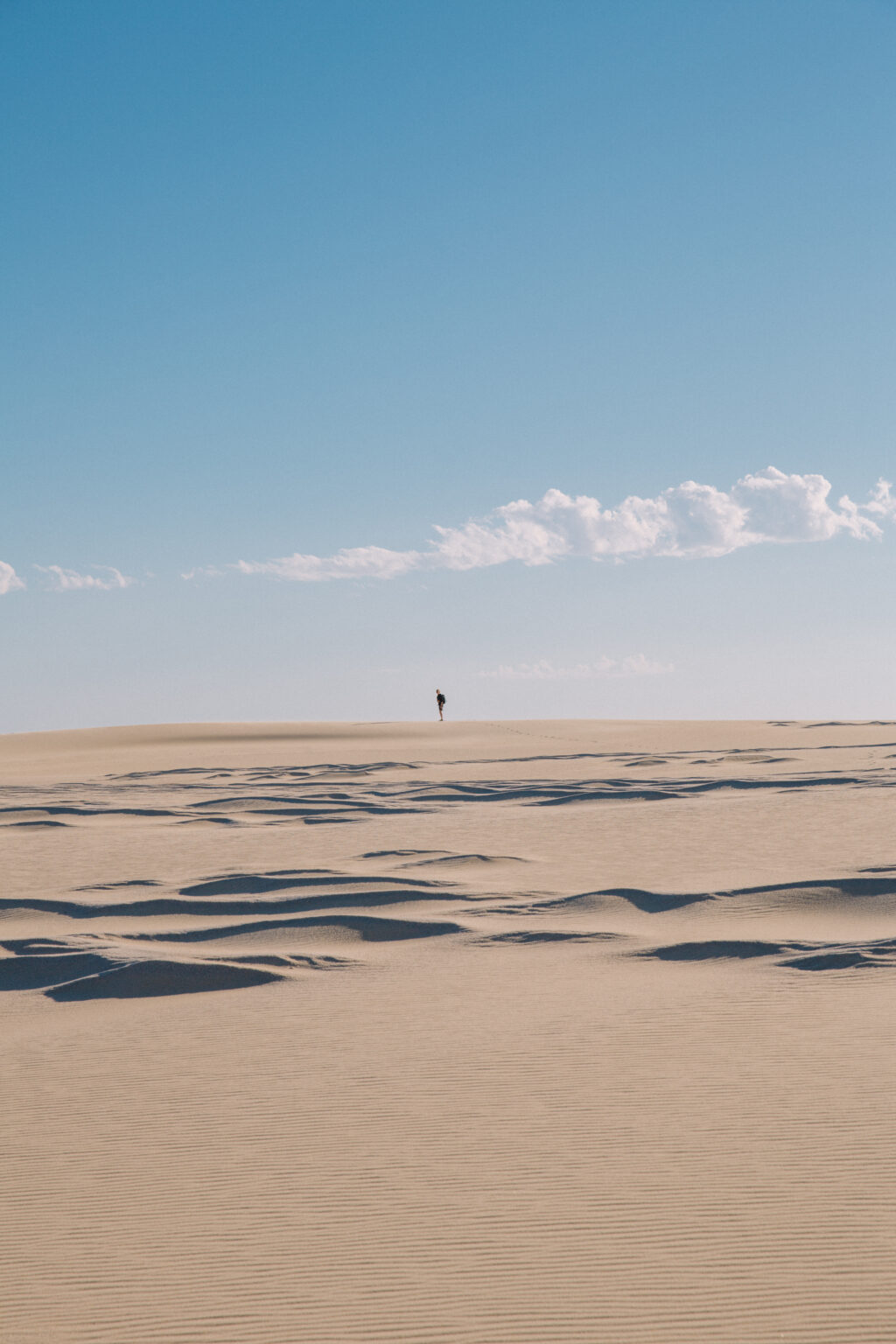 Croajingolong _ Thurra River Dunes (2)