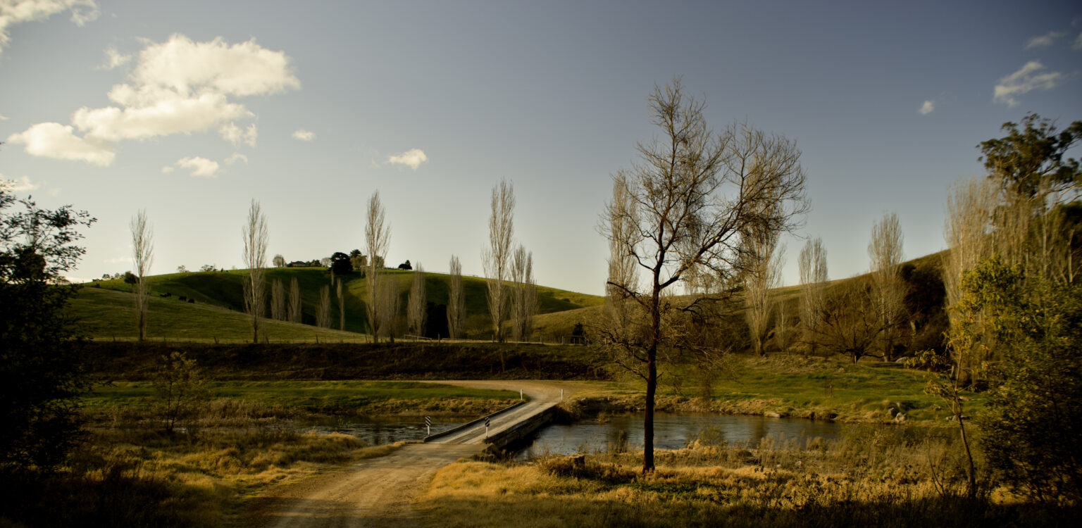 Great Alpine Road _ Autumn _ Trees & Bridge