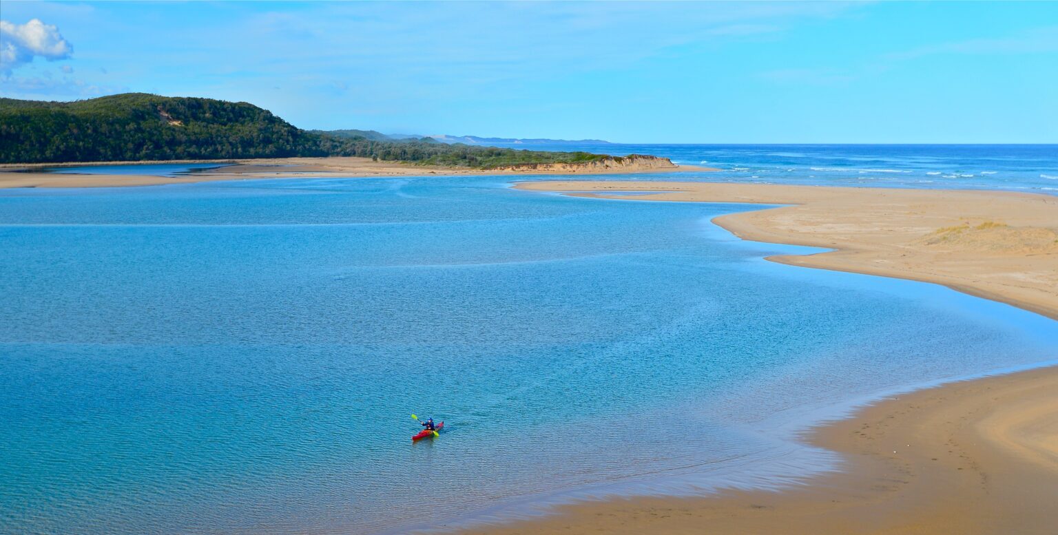 Bemm River paddling