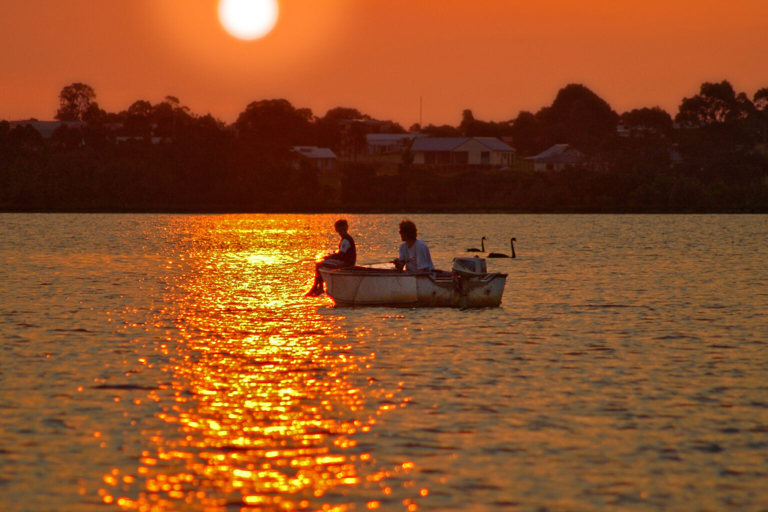 Two people sit in a small boat on a lake at sunset, fishing as the golden sunlight reflects off the water. In the background, a pair of swans glide on the water, and silhouettes of houses and trees are visible along the distant shoreline.