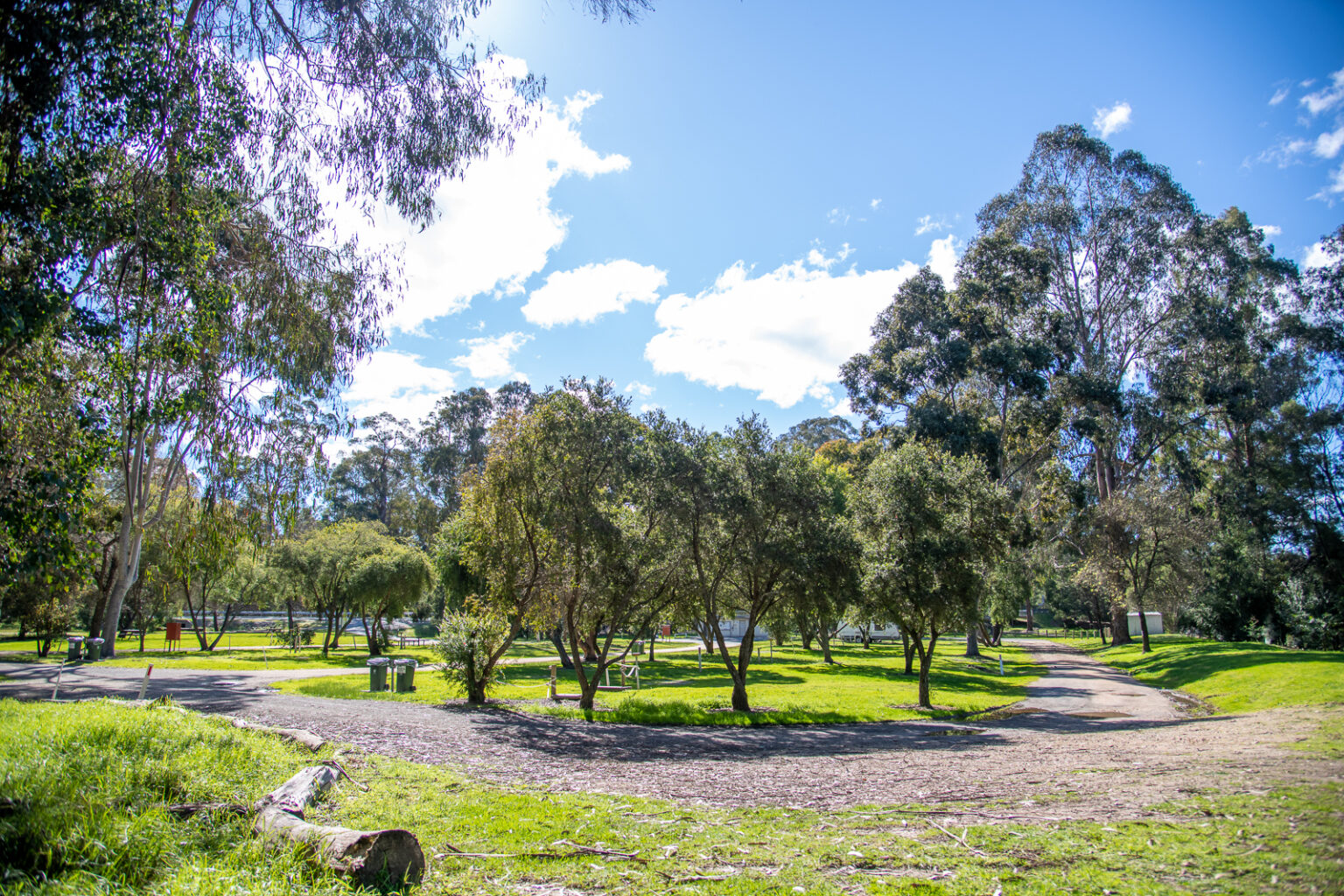 Cann River (18)
