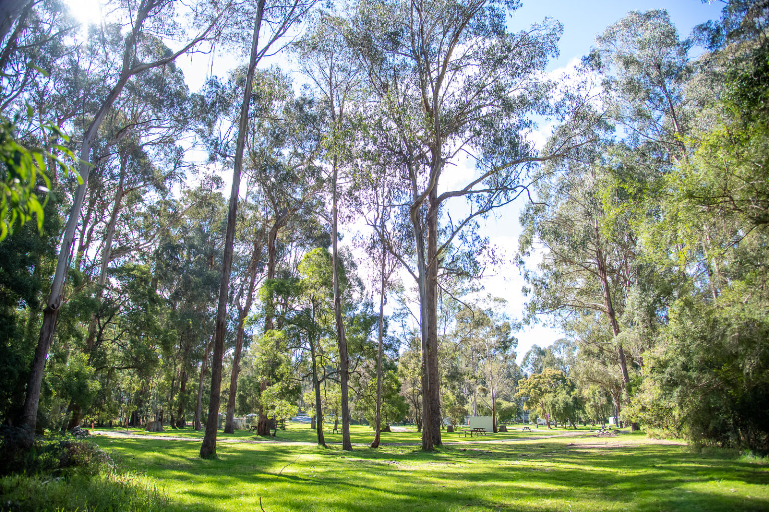 Cann River (27)
