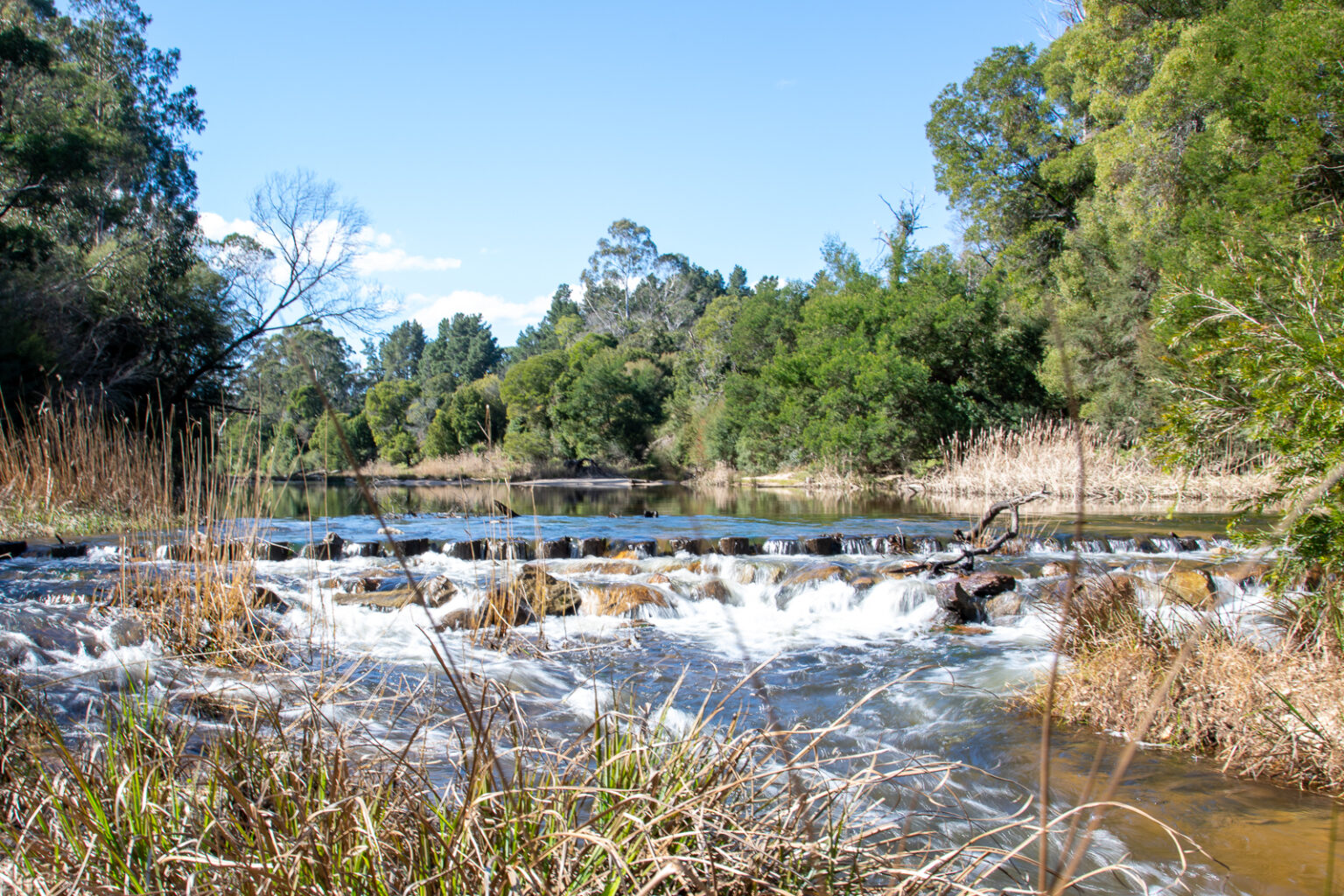 Cann River (33)