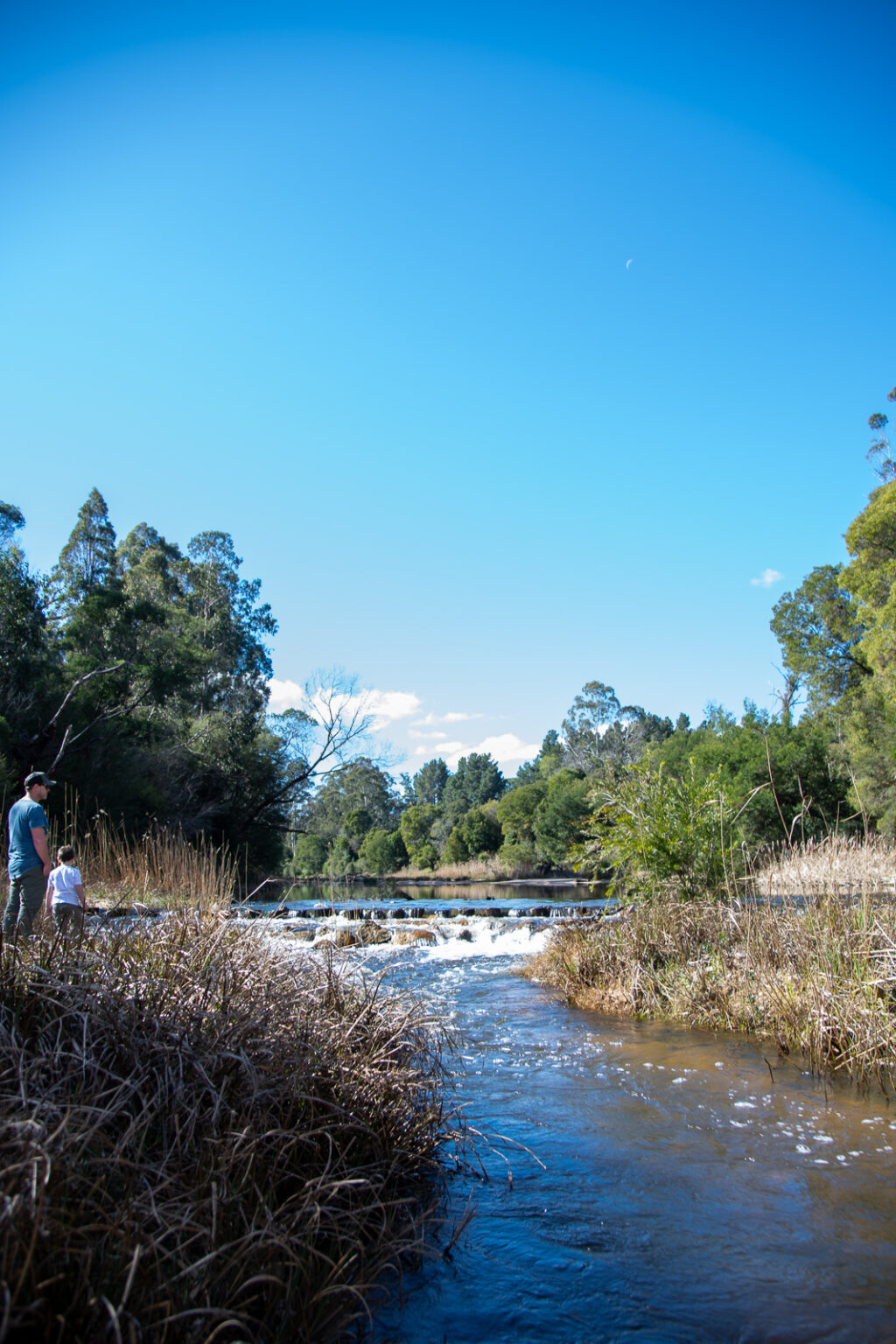 Cann River (34)
