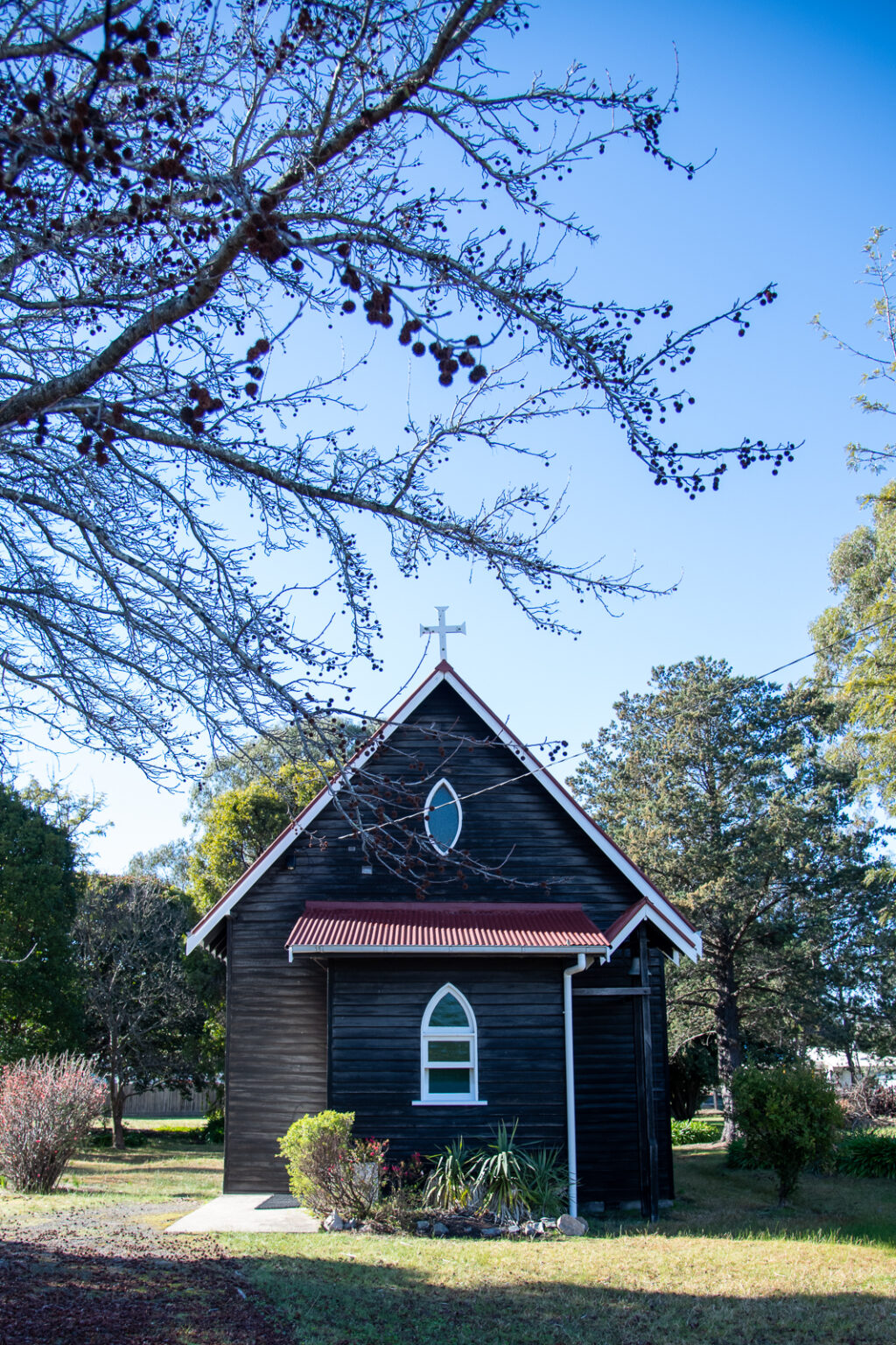 Cann River (50)