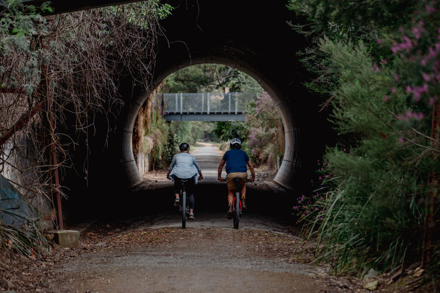 Two cyclists ride away from the camera through a tunnel, emerging onto a leafy path lined with trees and vegetation. A metal bridge crosses overhead, and dappled light filters through the scene.