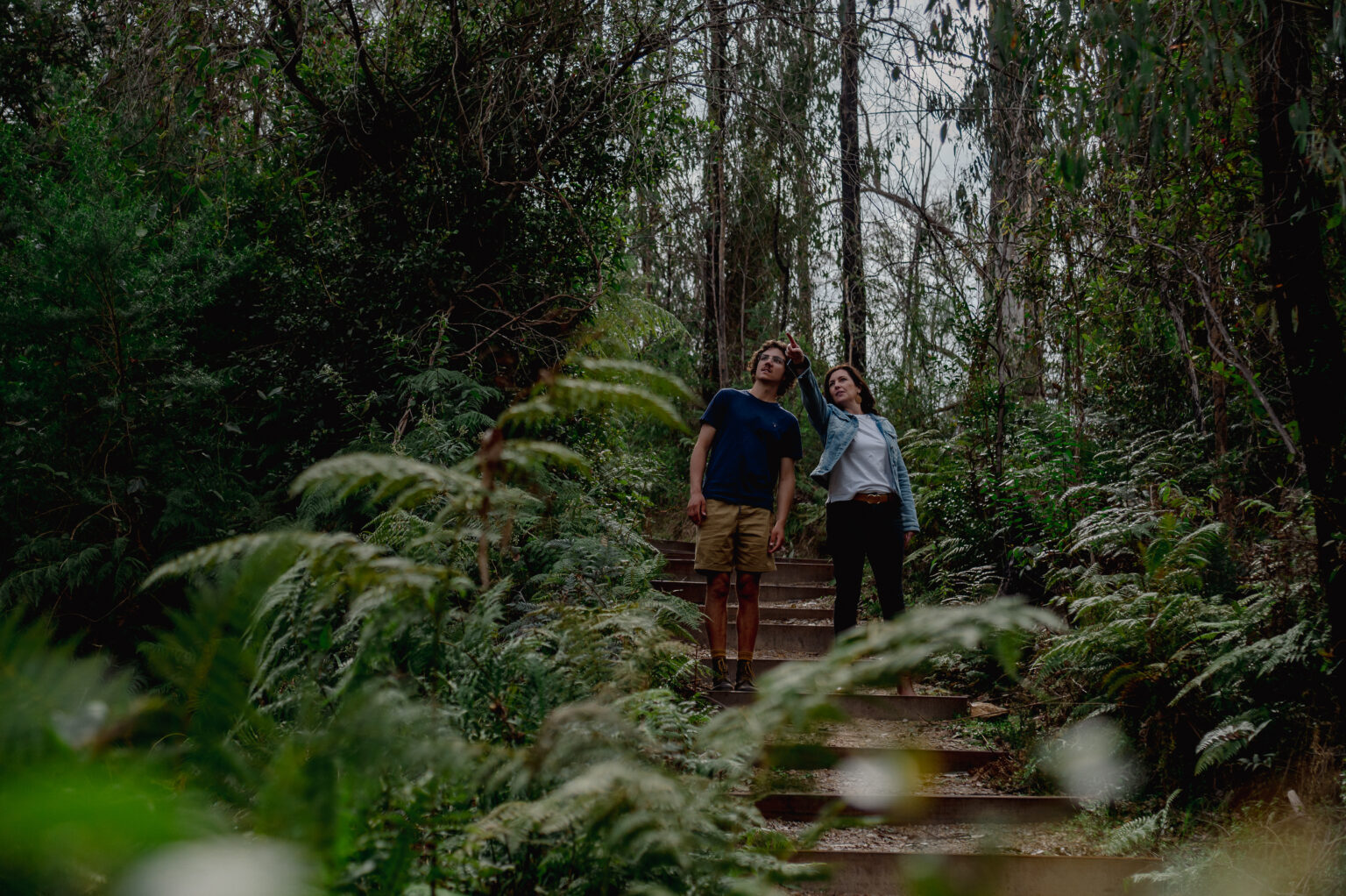 A man and a woman stand on outdoor steps in a lush, green forest. The woman is raising her arm, pointing at something among the tall trees above, while the man looks in the same direction. Ferns and dense foliage frame the scene, and the forest feels secluded and tranquil.