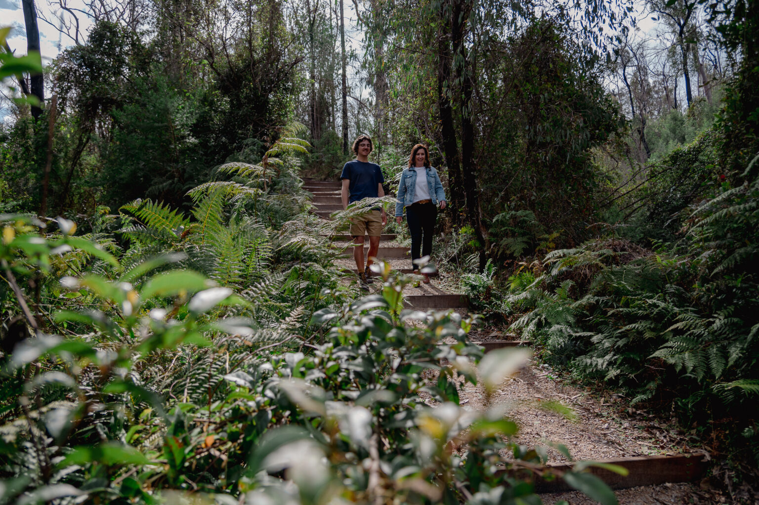 A man and a woman walk down a wooden path bordered by leafy plants and ferns in a forest setting. The path curves gently through the thick greenery, with sunlight streaming through the trees and illuminating patches of the undergrowth. The scene conveys a peaceful, immersive woodland walk.