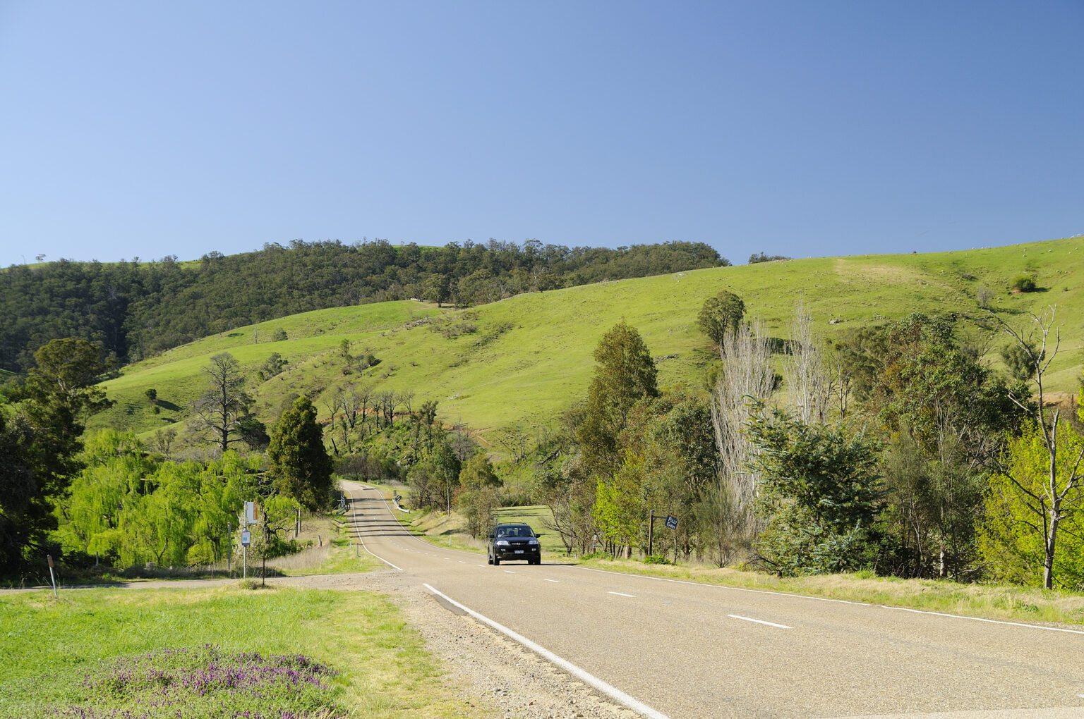 Great Alpine Road
