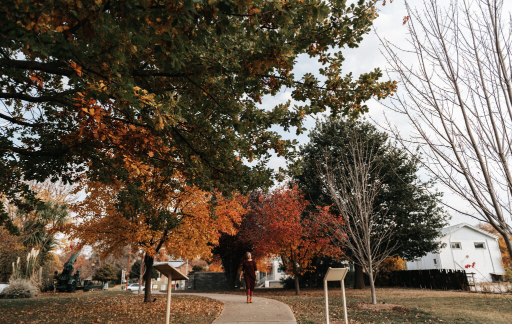 Woman walking down pathway lined with colourful Autumn trees at Livingstone Park in Omeo