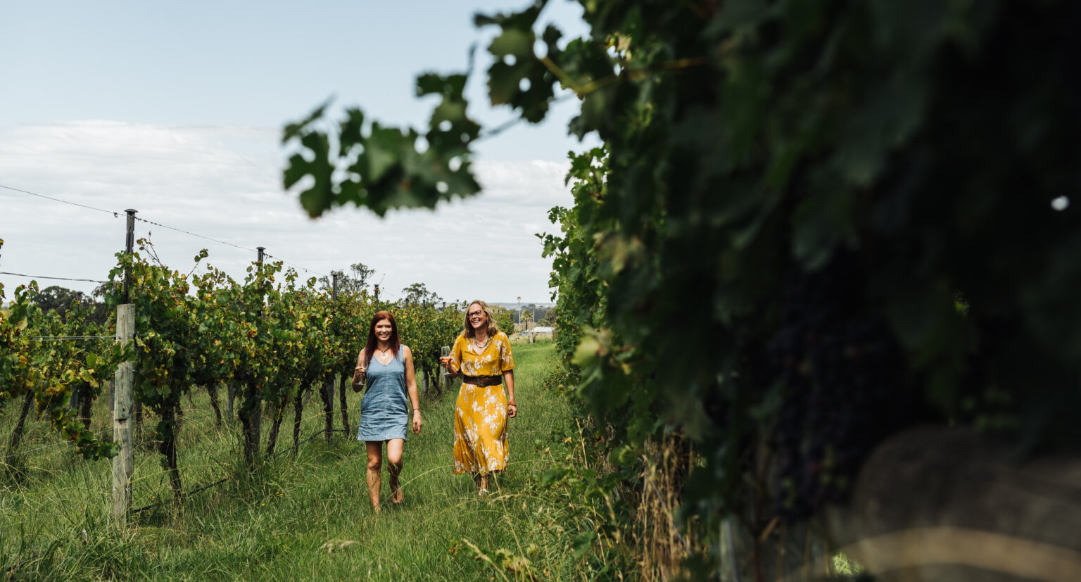 Nicholson River Winery