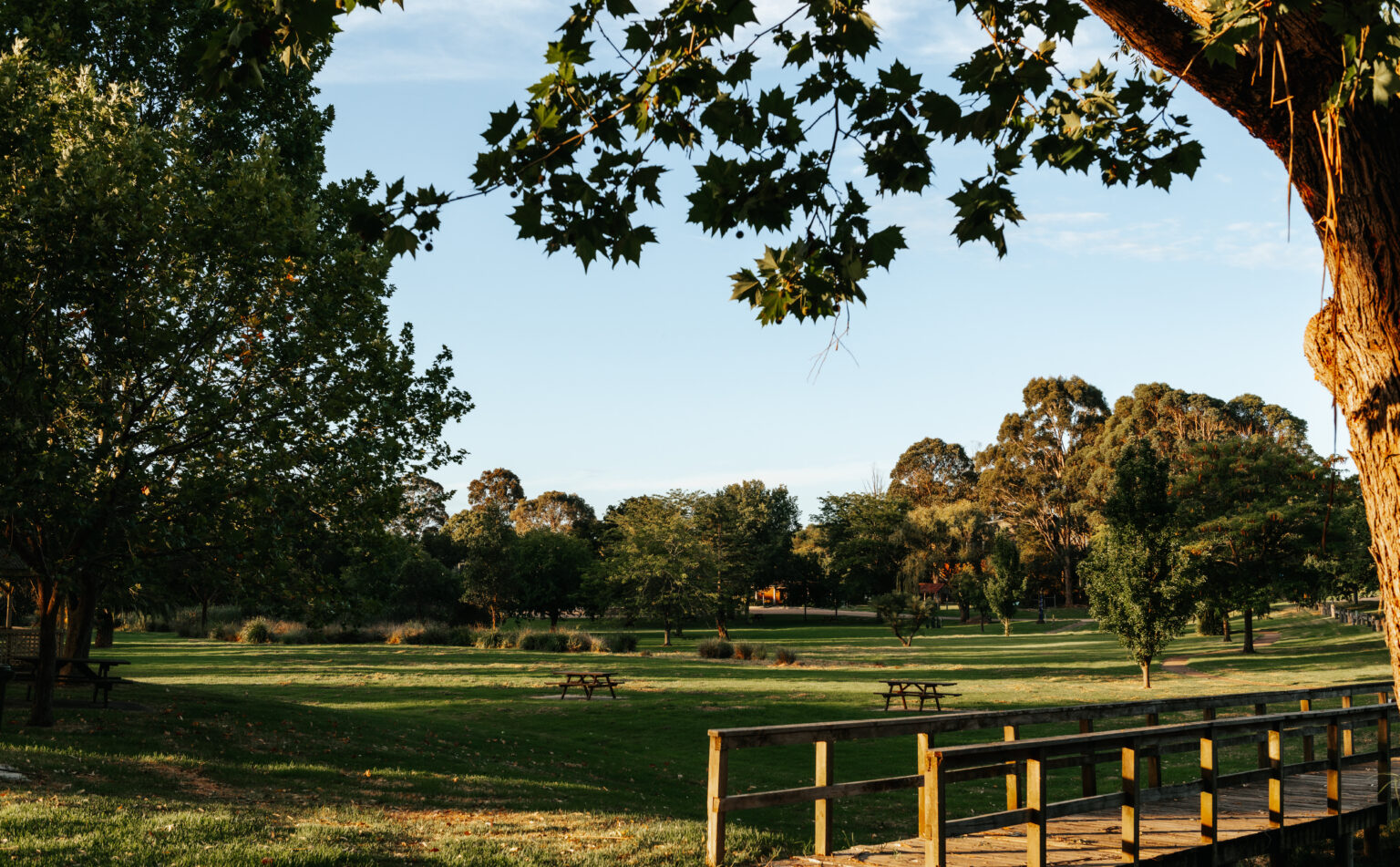 Orbost Forest Park