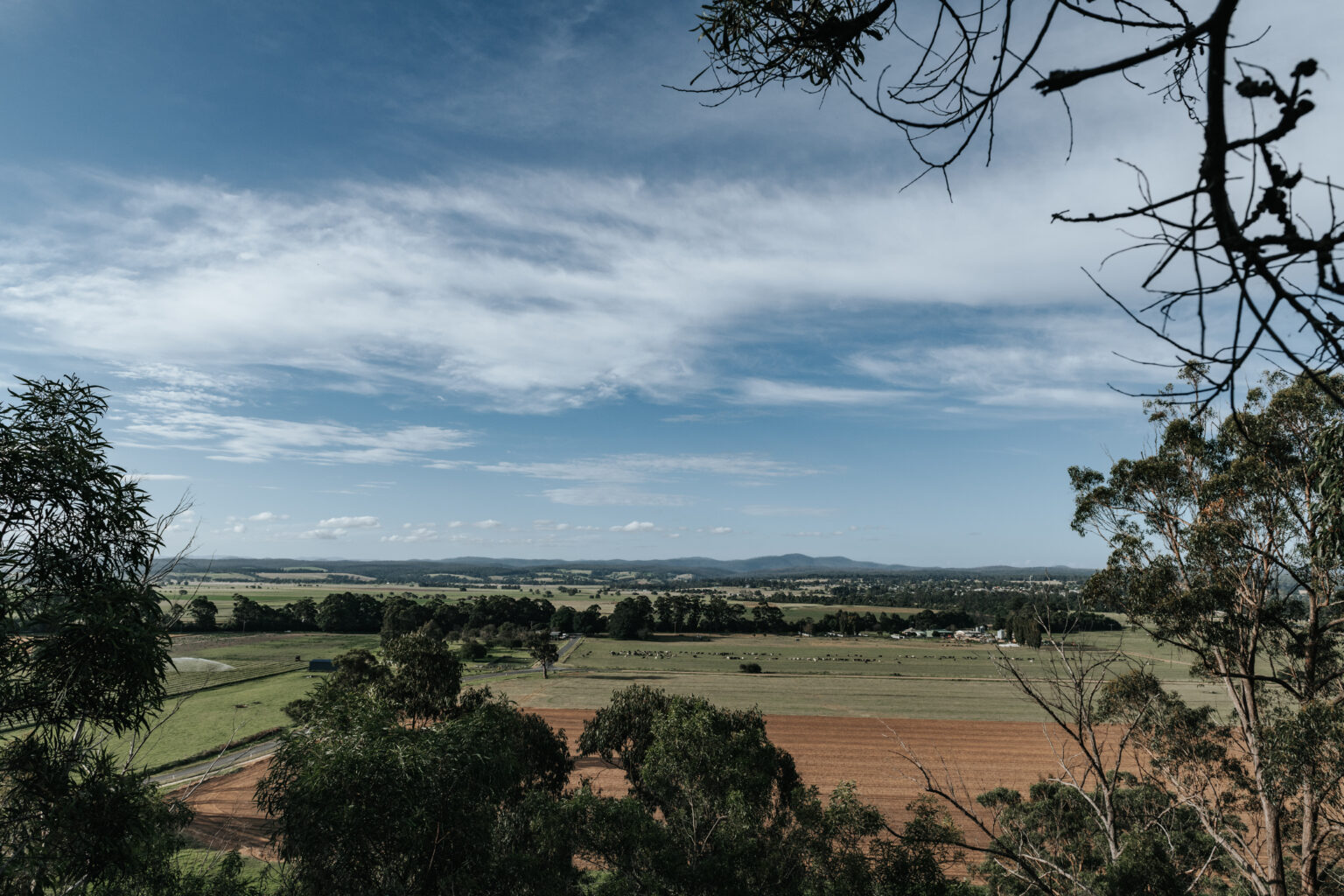 Grandview Lookout near Orbost