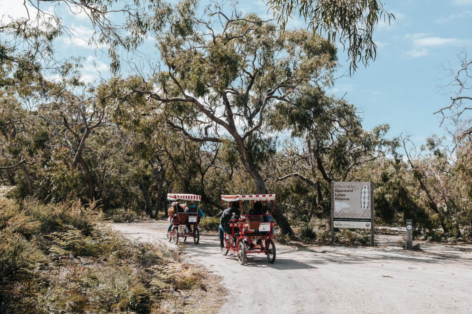 Raymond Island Koala Trail