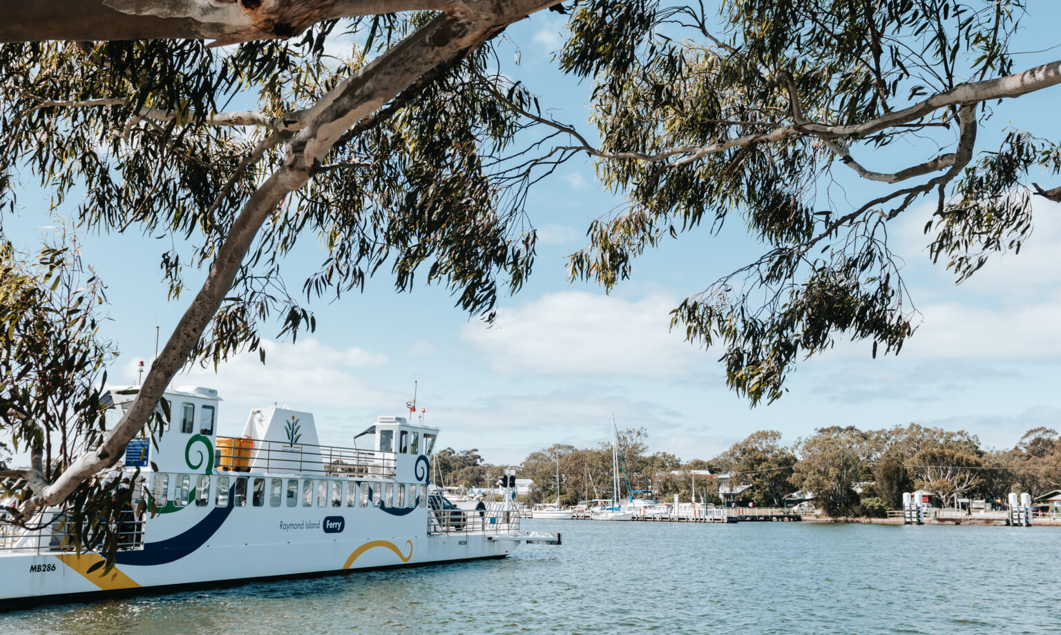 Raymond Island Koala Trail and Ferry