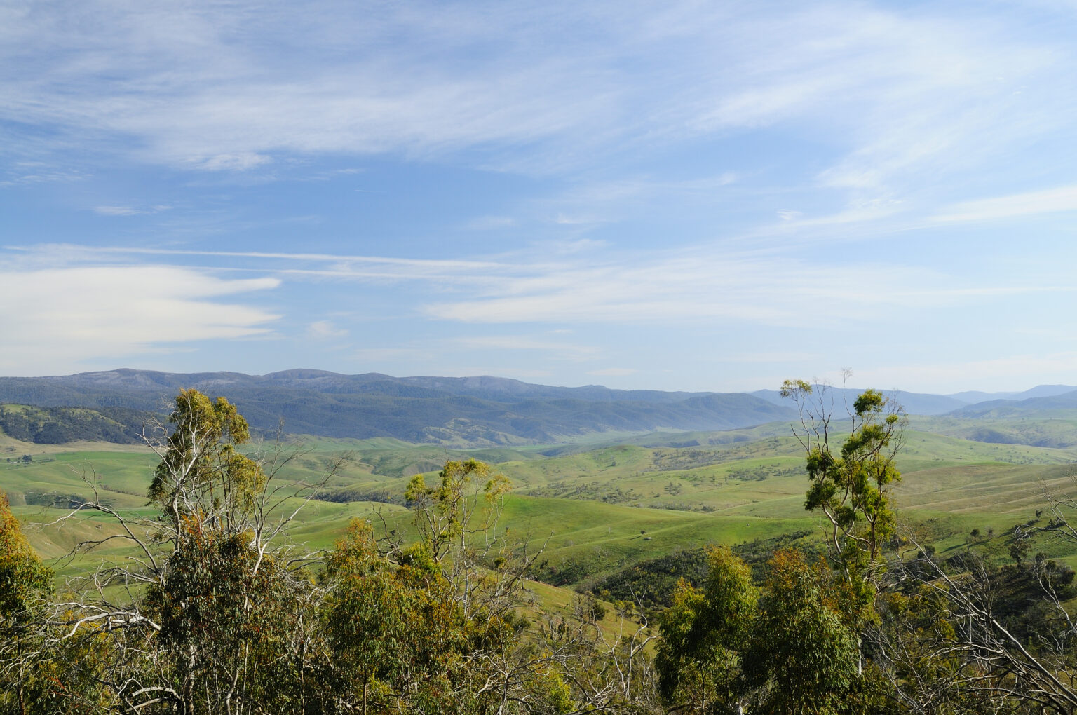 Omeo Valley