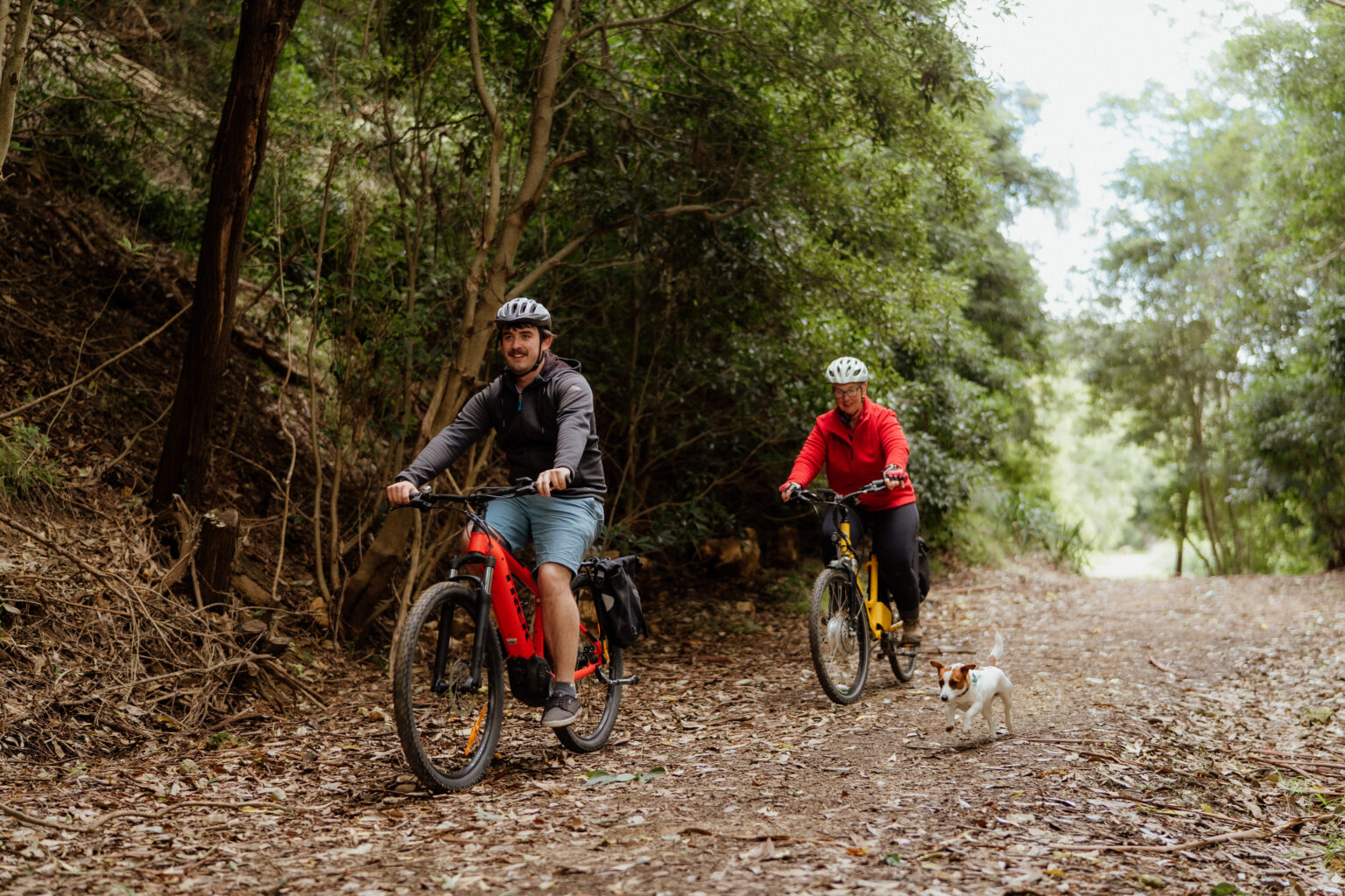Snowy River Cycling 8 East Gippsland Rail Trail Orbost