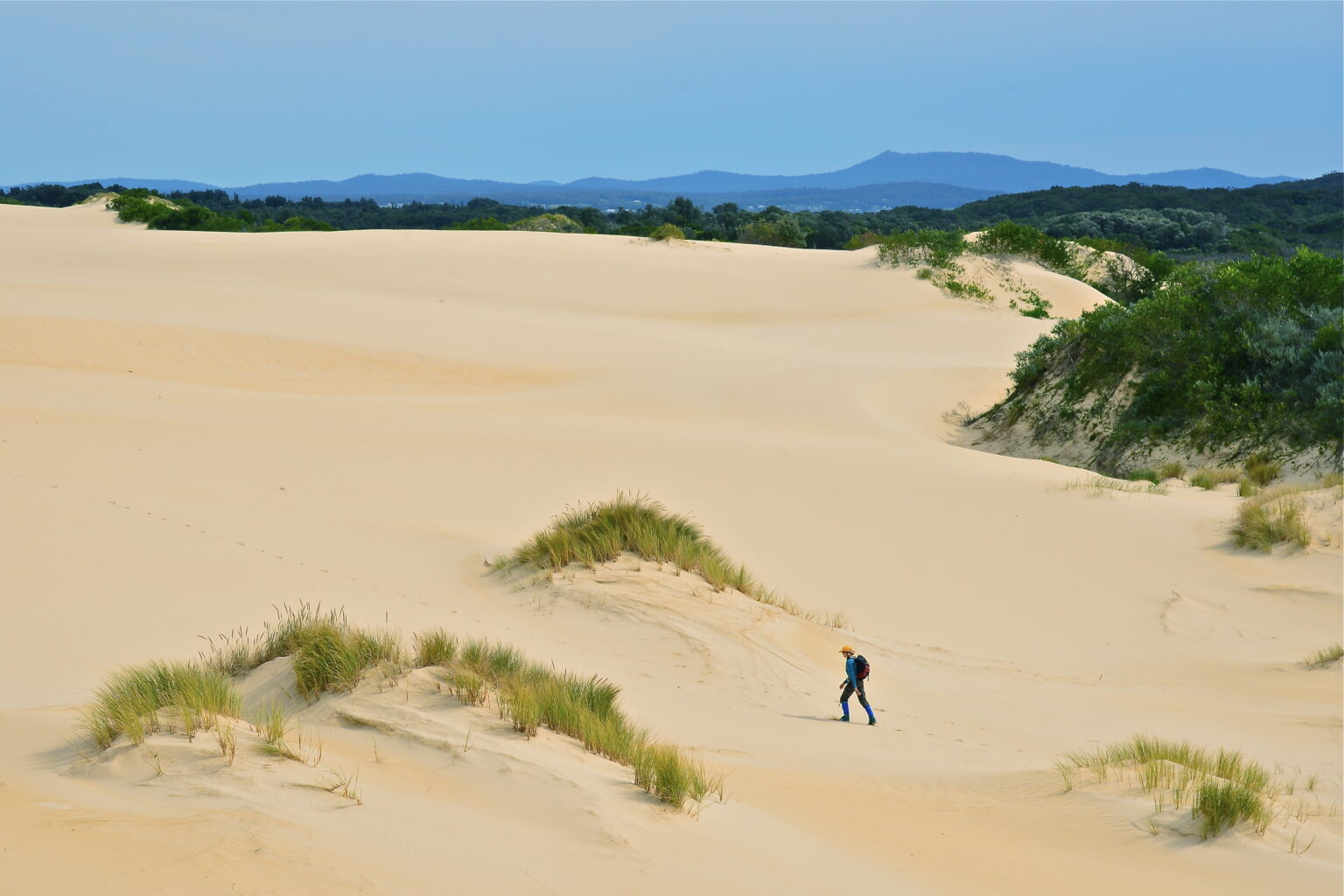 Walking from Lake Barracoota to Mallacoota