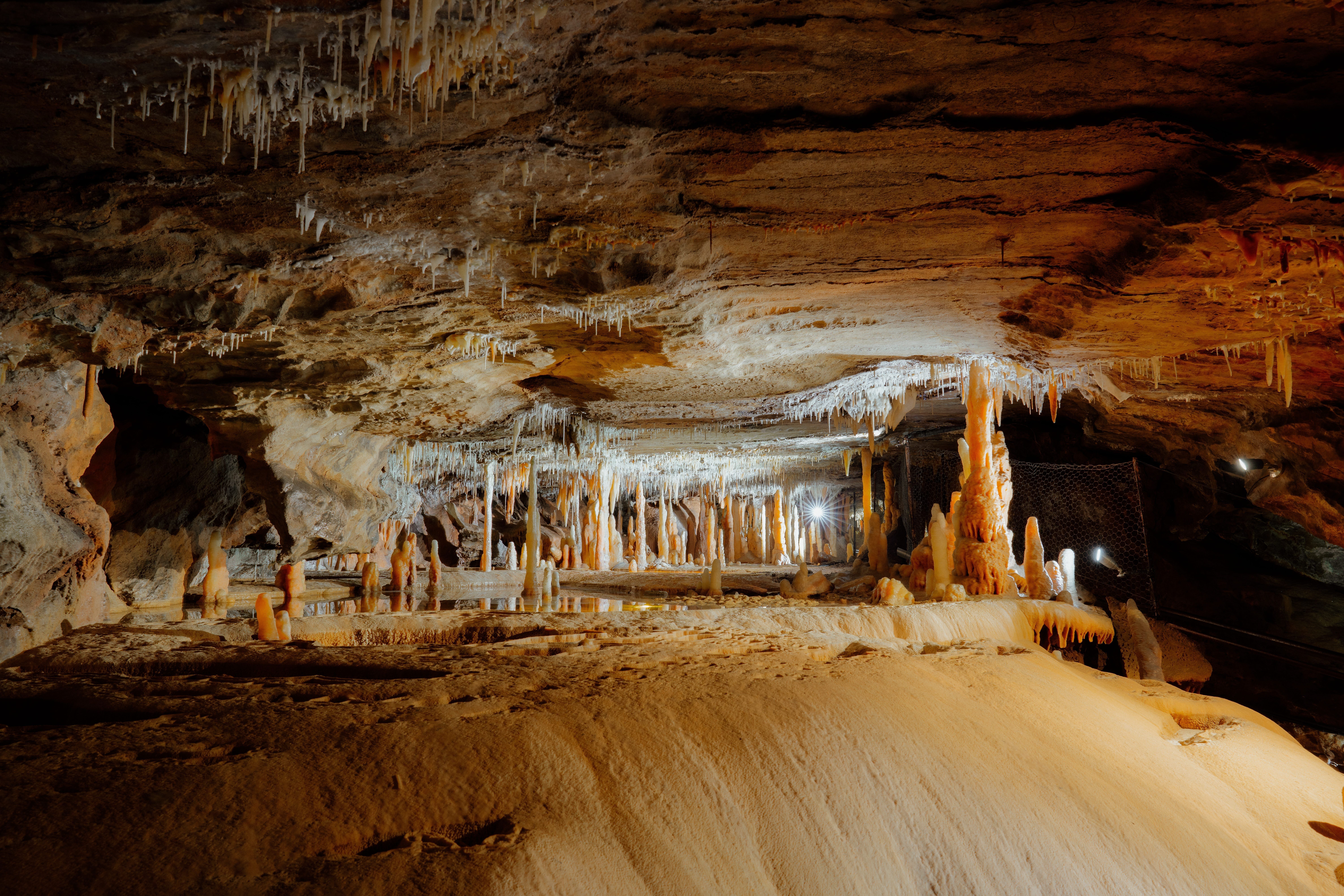 A spacious limestone cave chamber filled with numerous stalactites hanging from the ceiling and stalagmites rising from the cave floor. The formations are illuminated by warm, artificial lighting that highlights the intricate textures and natural colors of the rock. The scene captures the complexity and beauty of the underground landscape, with mineral deposits creating dramatic shapes throughout the cave.