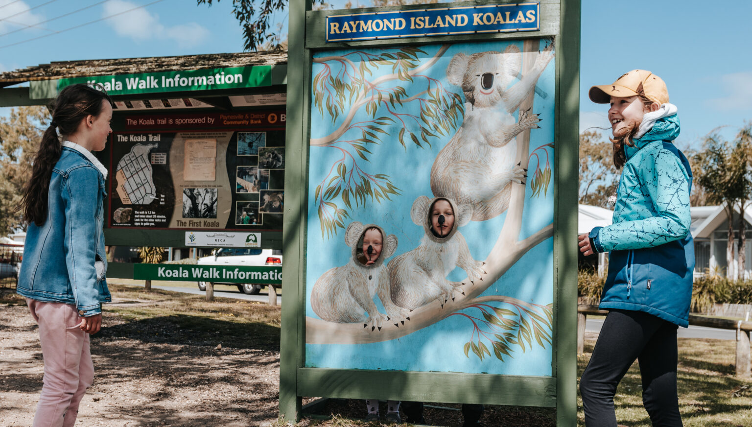 Raymond Island Koala Trail