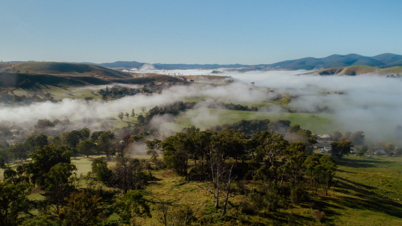 Buchan Valley (2)
