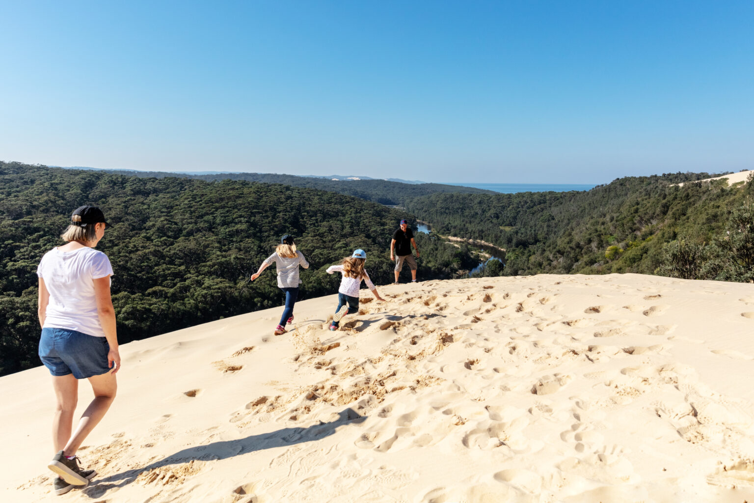 Dunes, Thurra River, Croajingolong National Park