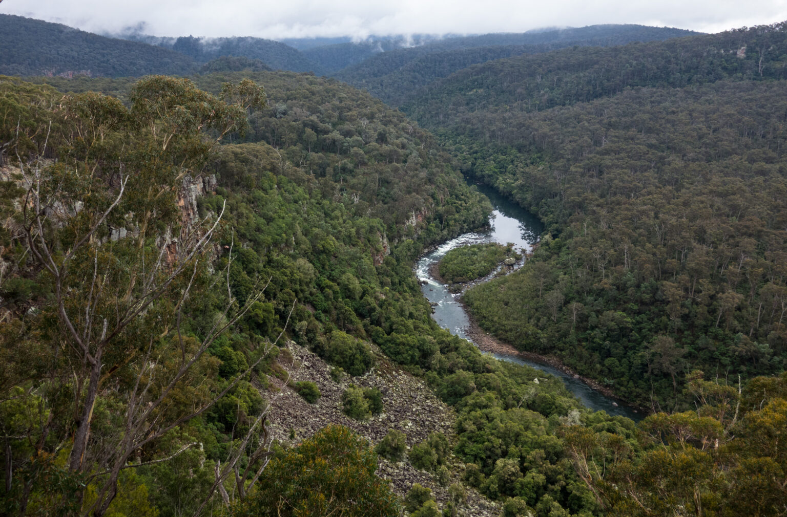 Mitchell River National Park