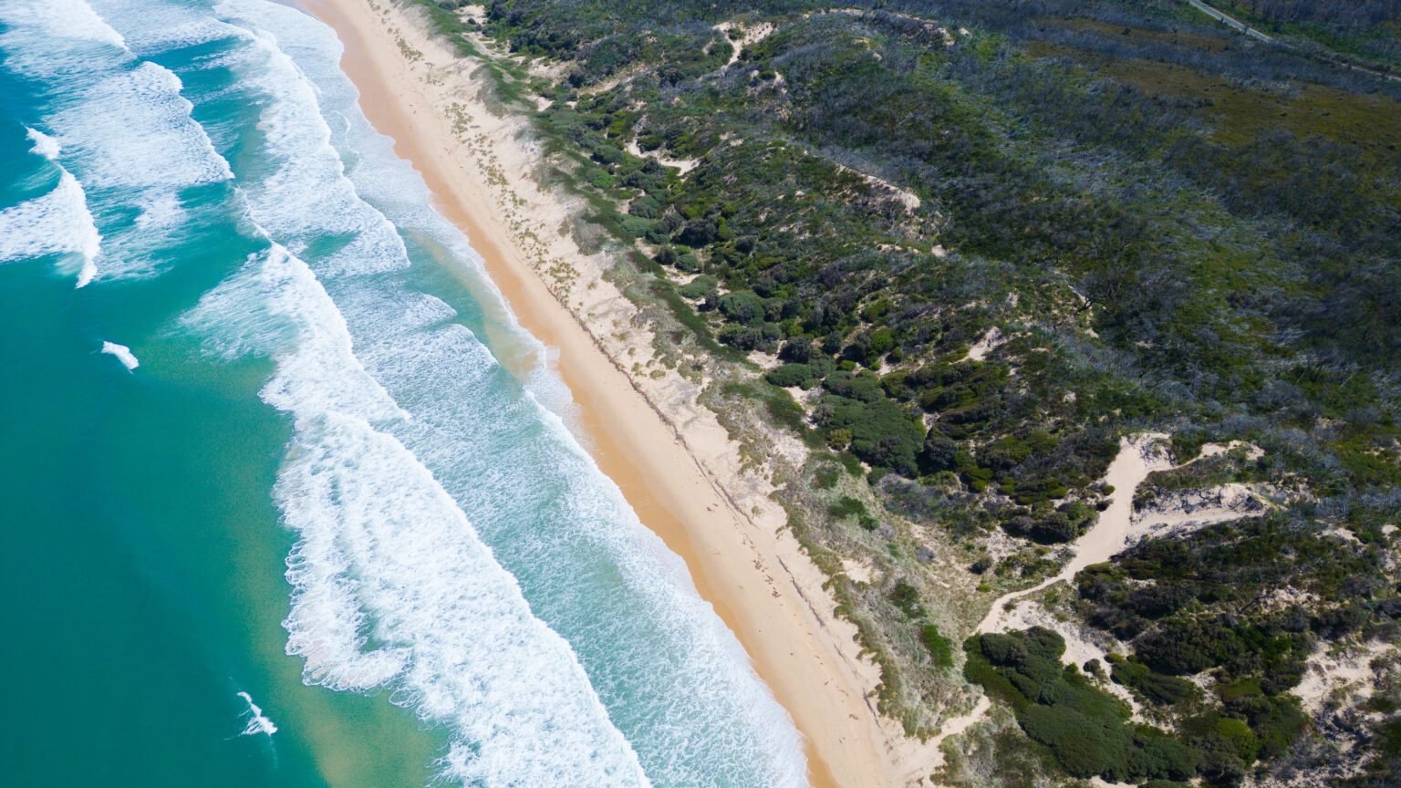 Salmon Rocks Beach - Cape Conran Coastal Park - near Marlo (3)
