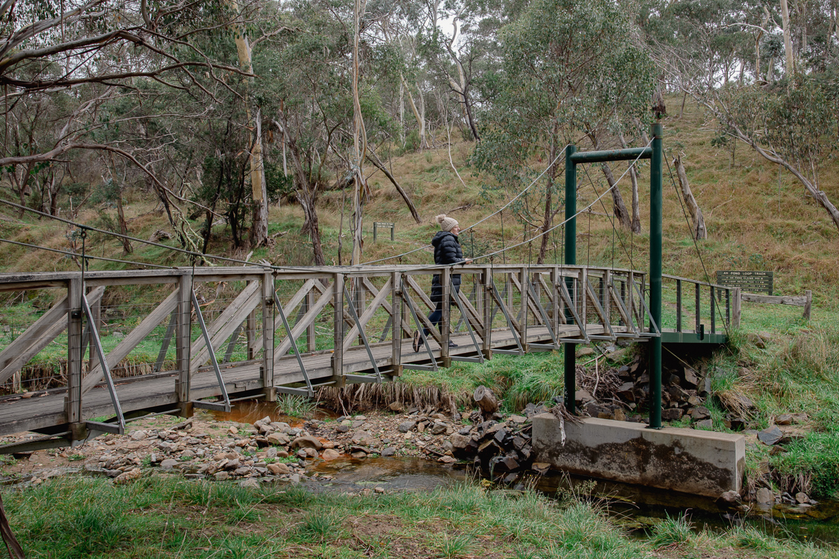 Ah Fongs Loop Walk Oriental Claims (2)