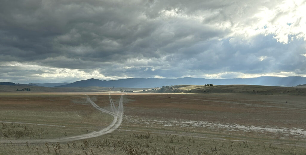 Landscape view of Lake Omeo at Benambra with mountains in the distance. The lake is empty and there are cows grazing on it.