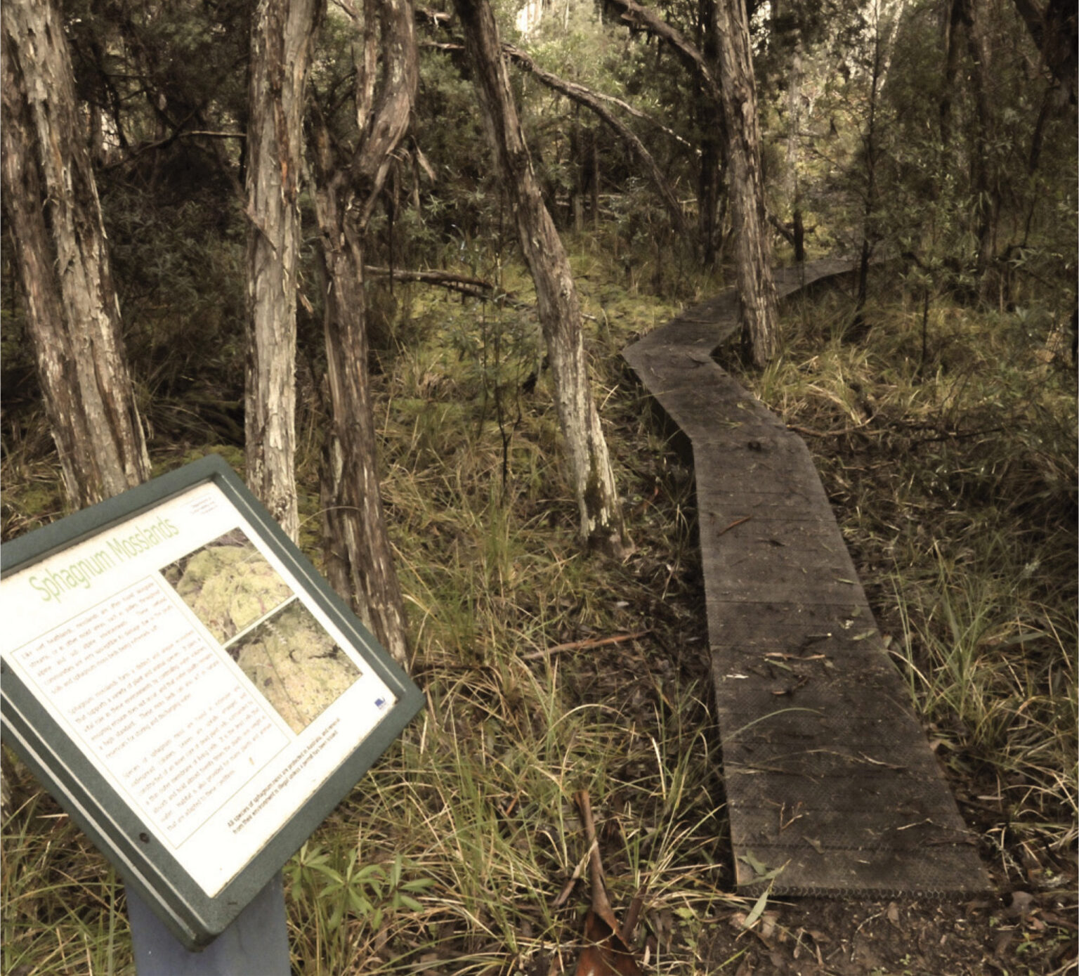 Bentley Plains Walk