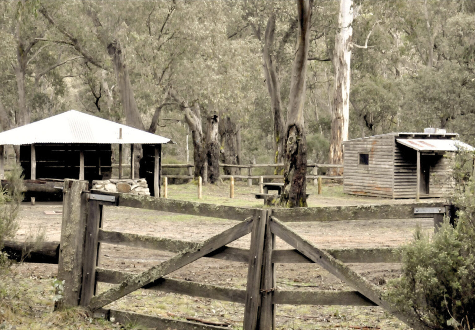 Bentley Plains Walks Picnic area and shelters