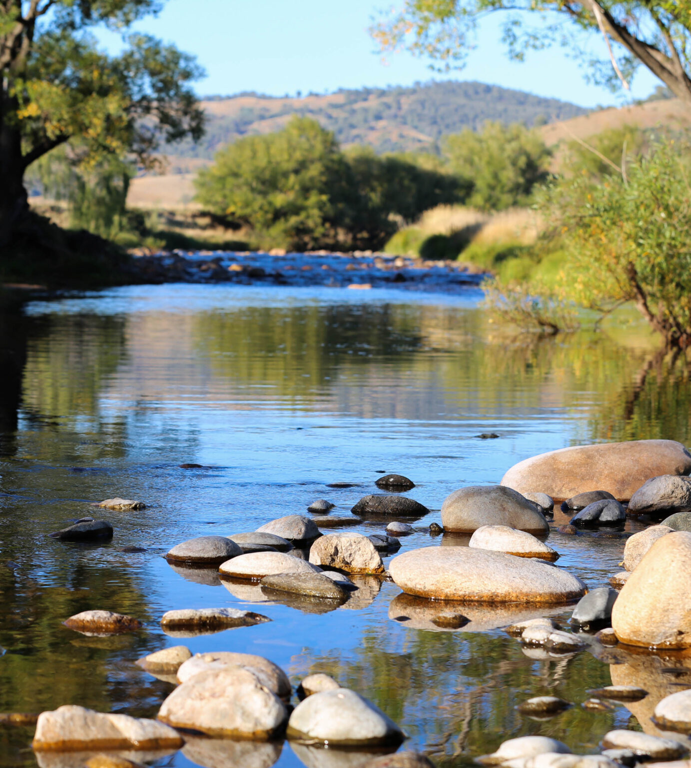 Mitta Mitta River