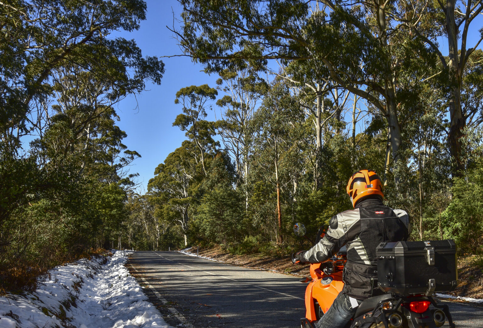Omeo Hwy going over Mt Wills