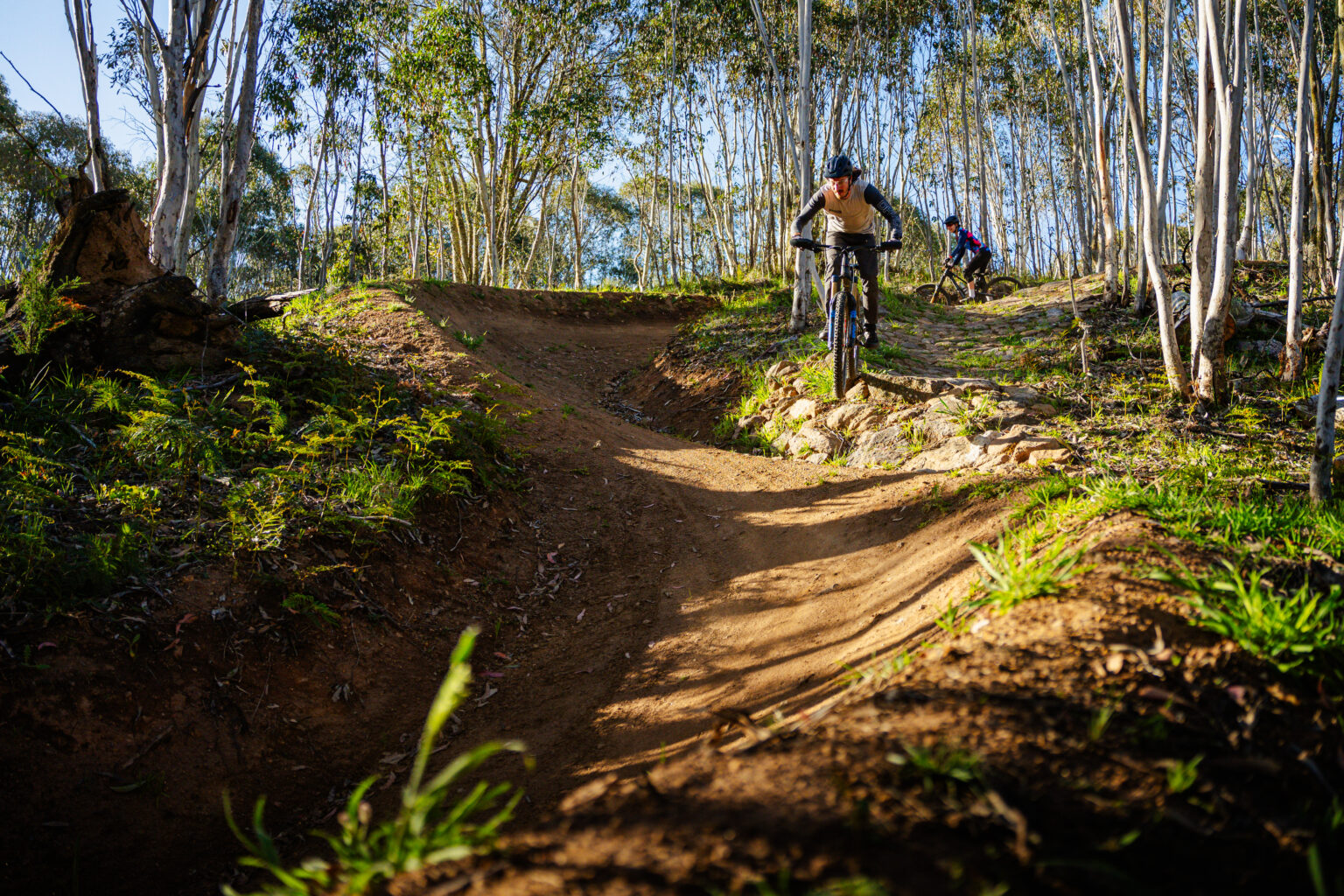 Omeo MTB Tracks (18)
