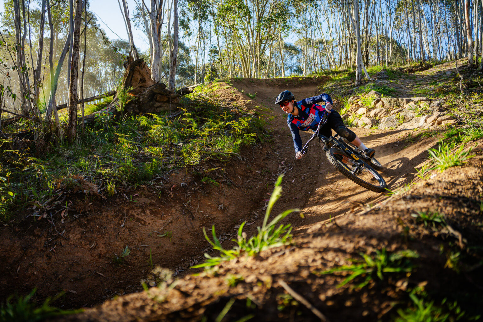 Omeo MTB Tracks (19)