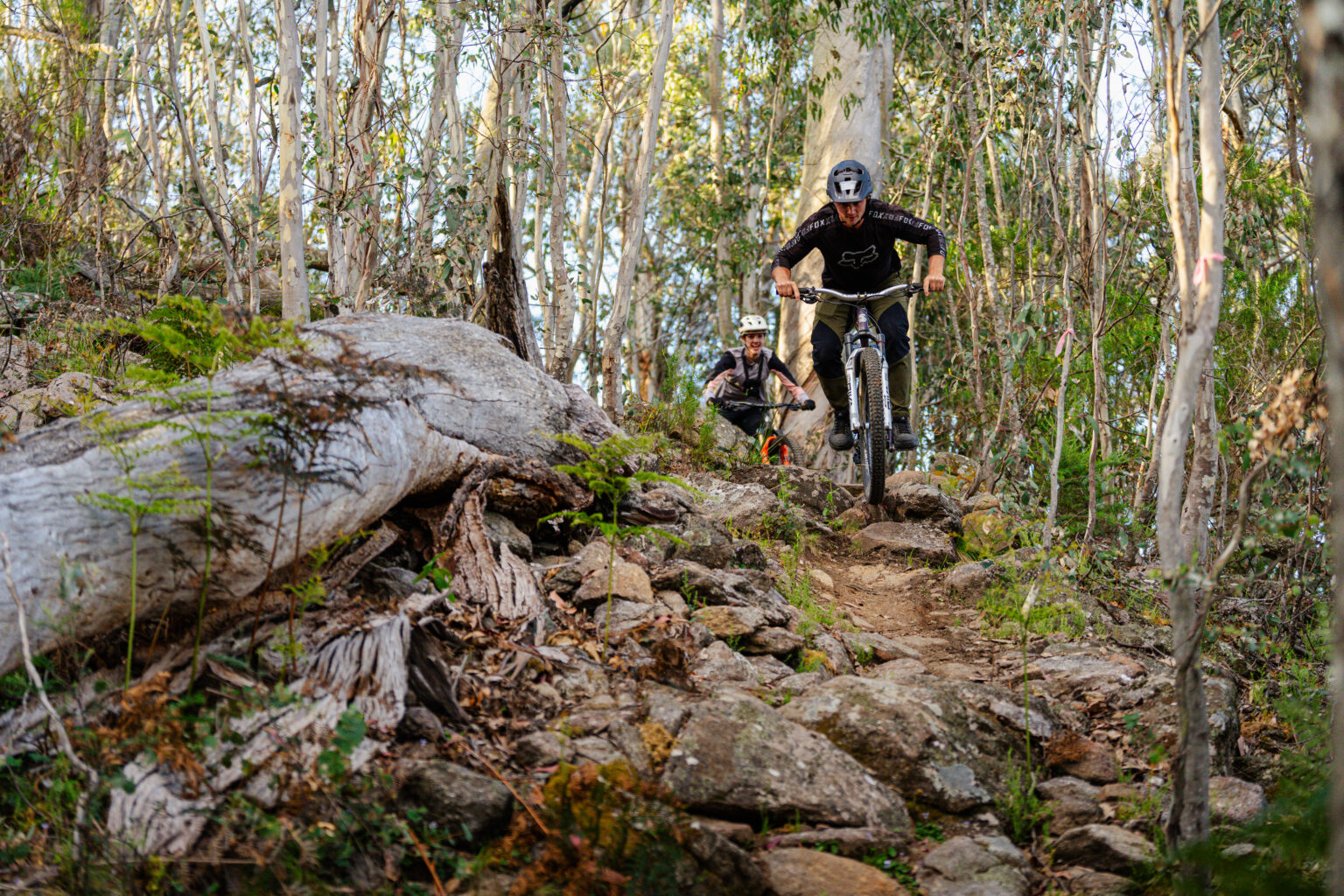 Omeo MTB Tracks (22)