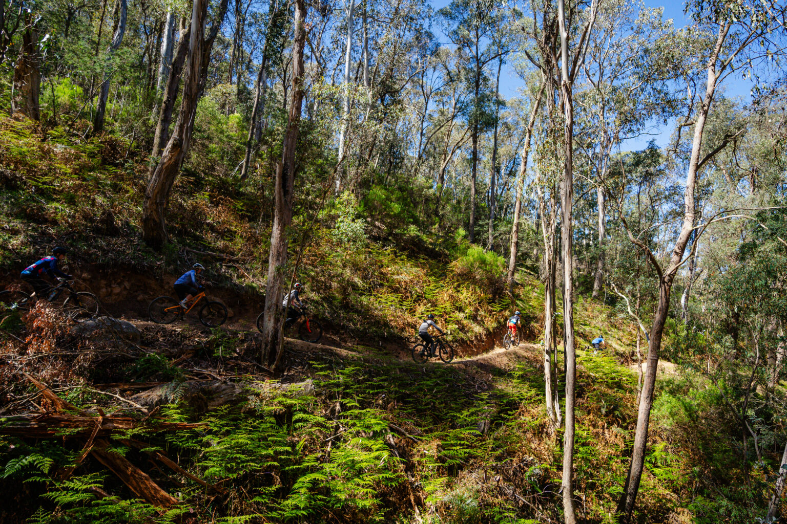 Omeo MTB Tracks (41)