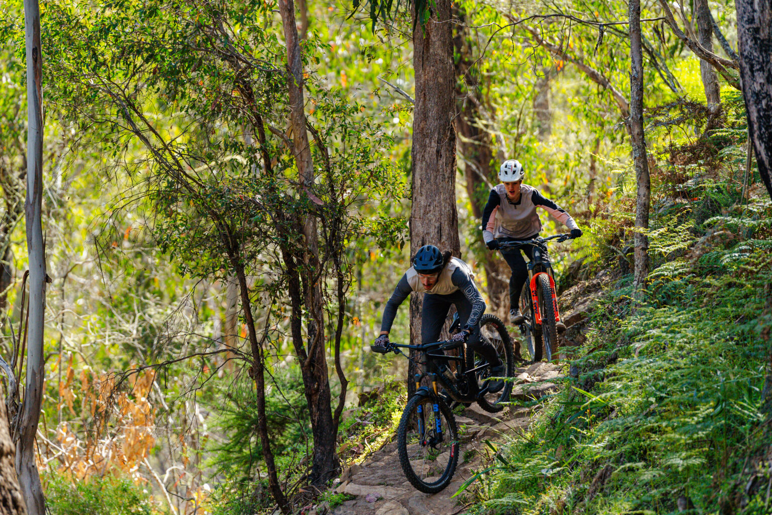 Omeo MTB Tracks (42)