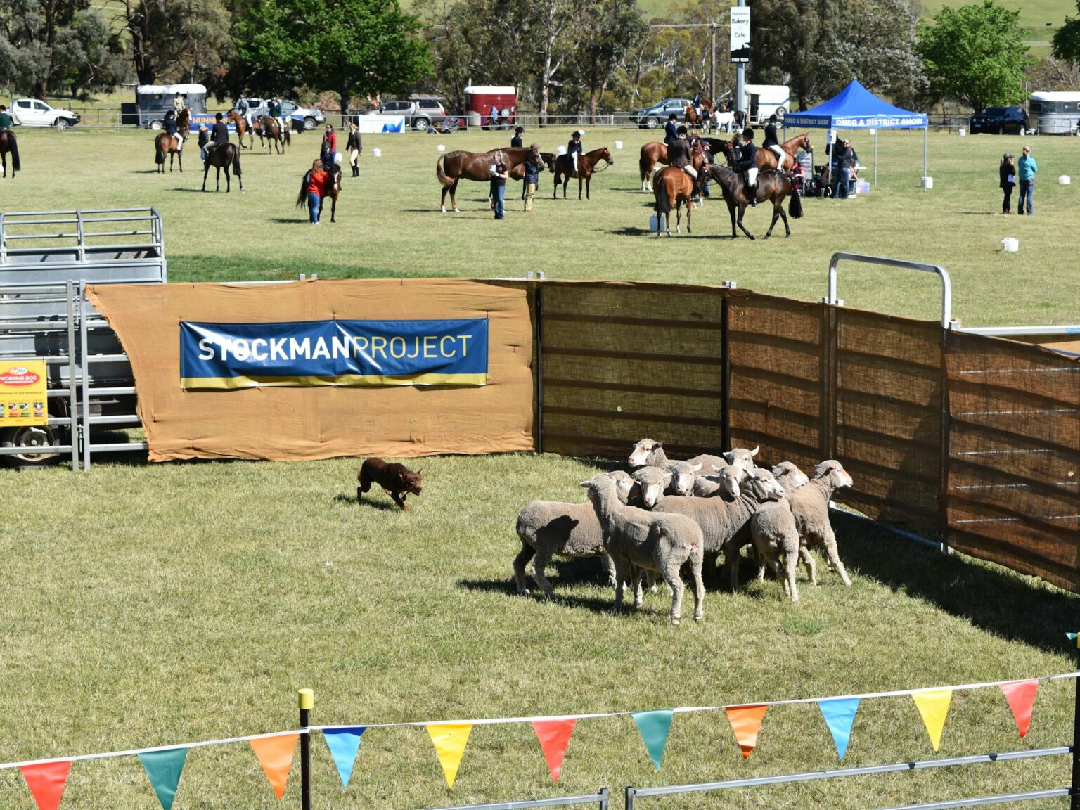 Omeo and District Show (5)