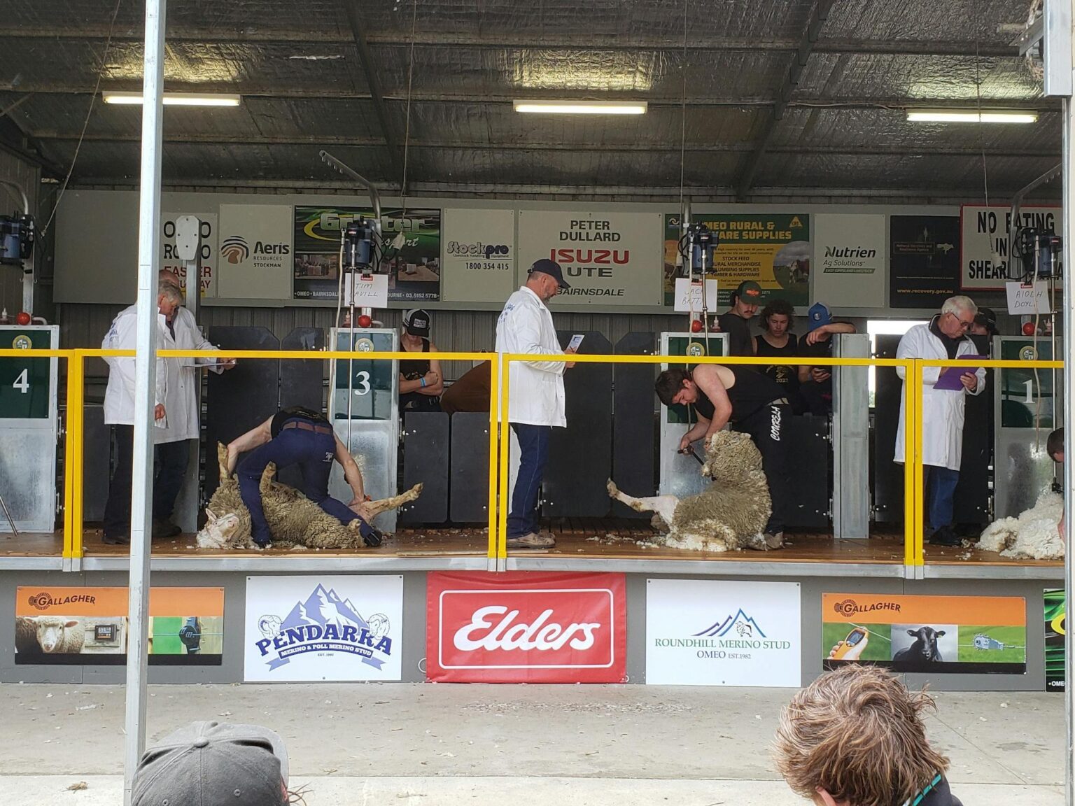 Omeo and District Show (6)