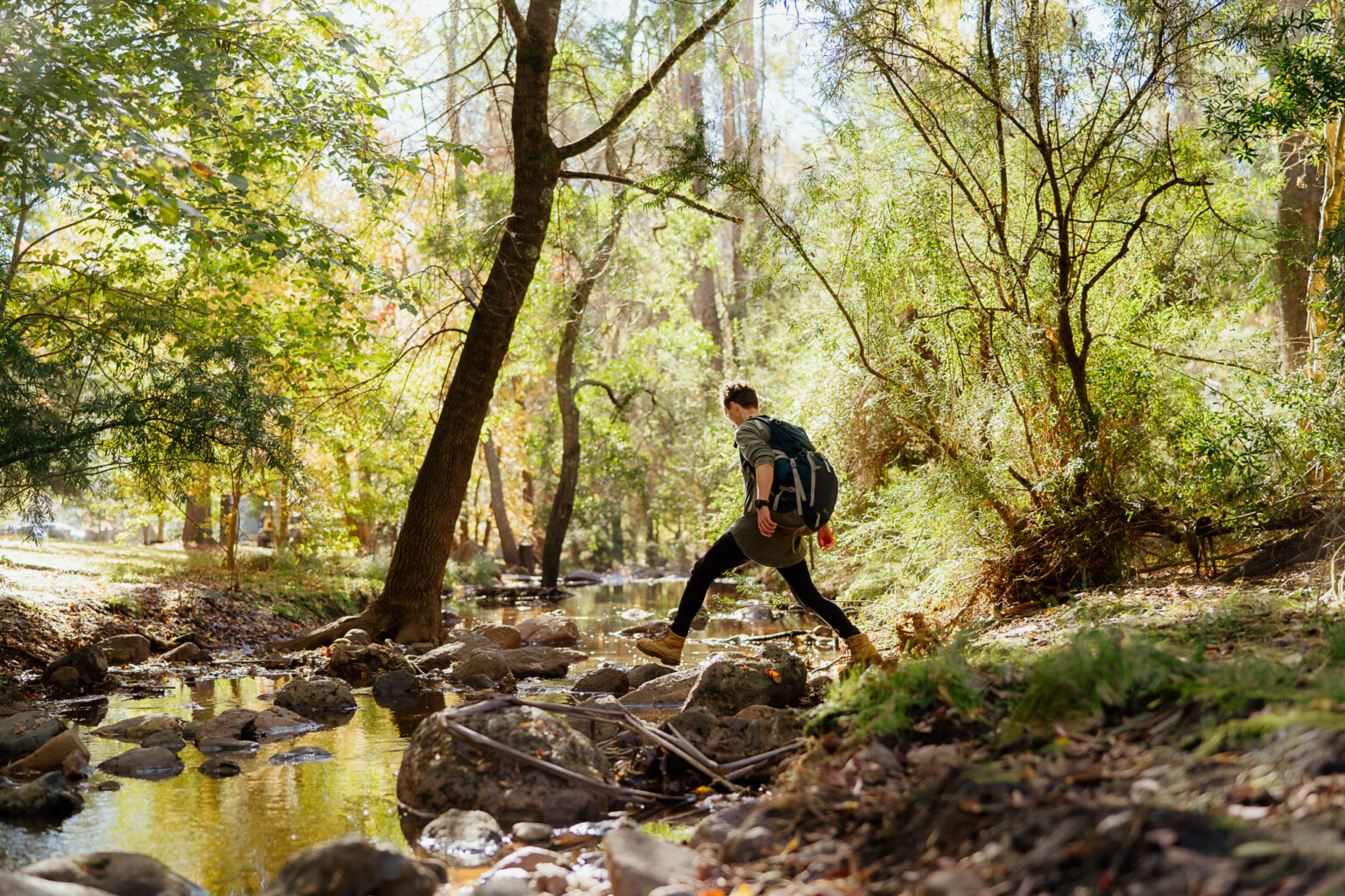 Buchan Caves Reserve