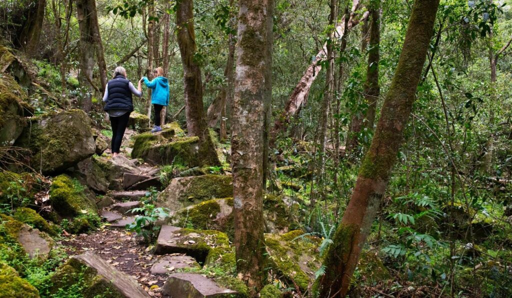 Mitchell-River-National-Park-Den-of-Nargun-Loop-Walk-mum-and-child-on-rocks-in-rainforest-gully
