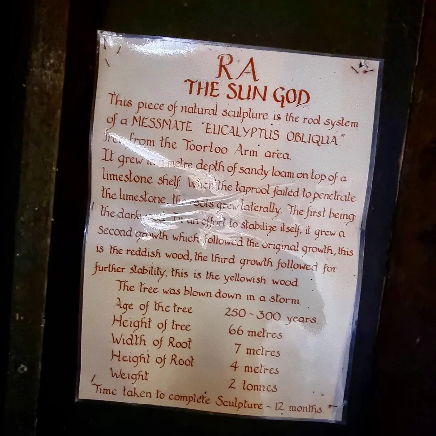 Photo credit: Beachcomber Holiday Units