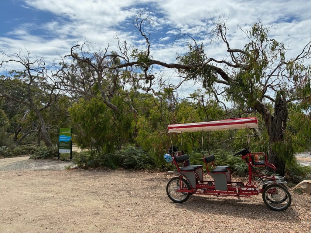 Surrey bikes for hire on Raymond Island