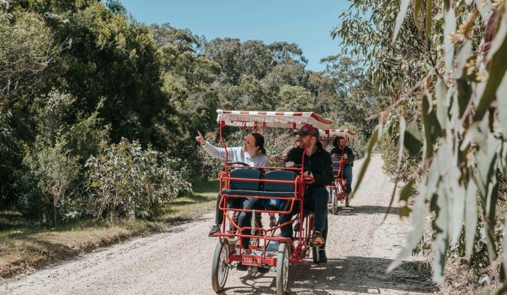 Surrey bikes are a great option for the whole family