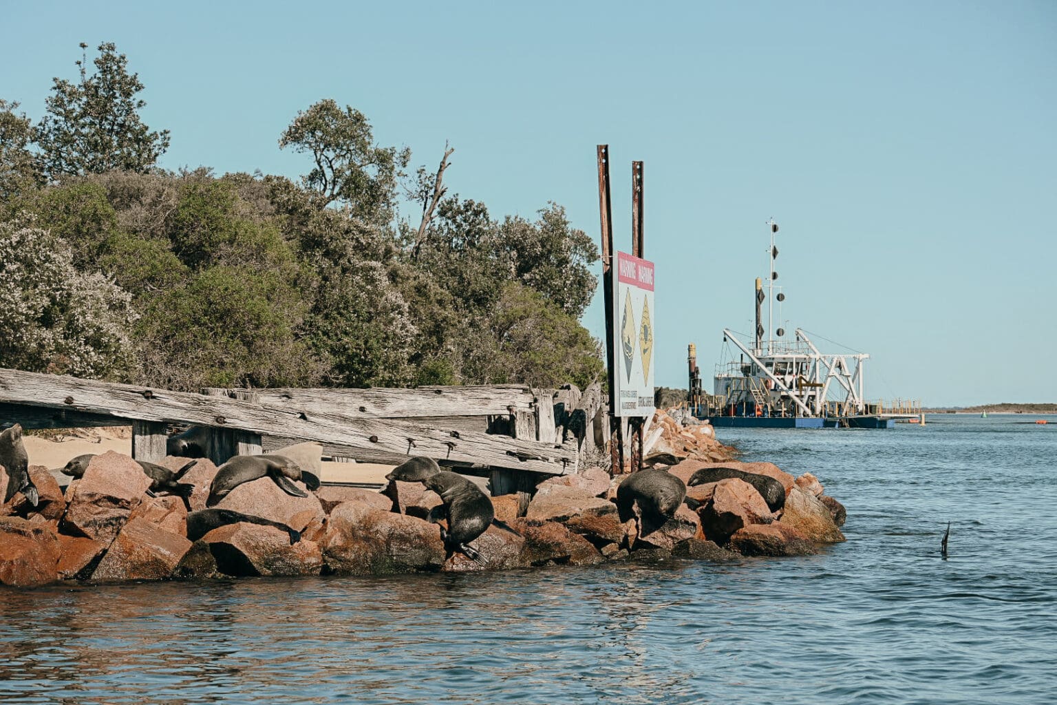 The_Entrance_Lakes_Entrance (18)