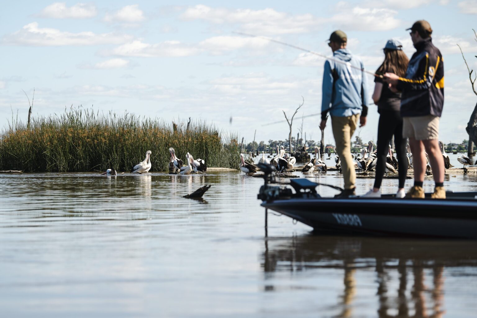 Lake Mulwala Sportfishing_169683